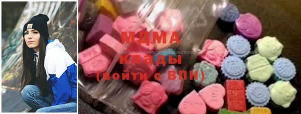 дживик Бородино