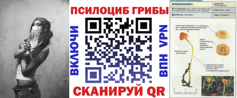 Галлюциногенные грибы Magic Shrooms  Кирсанов 